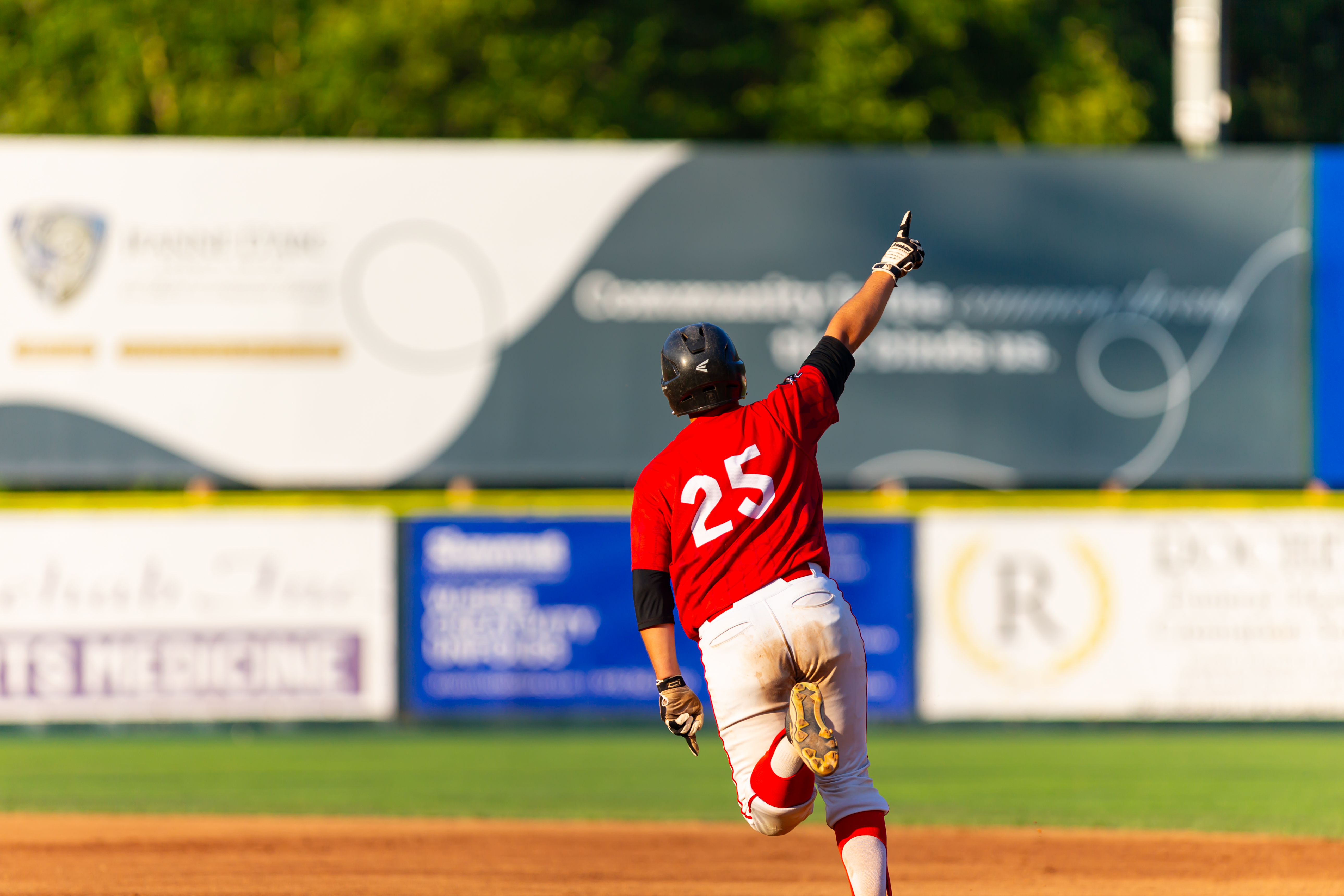 Seniors raised the bar for Silver Knights baseball